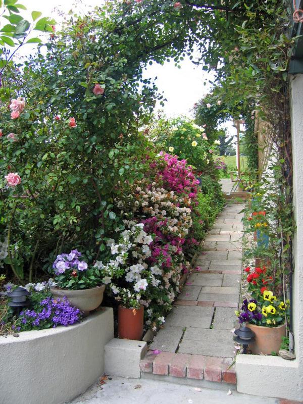 Mcauley Glen Boutique B&B Portobello Exteriör bild