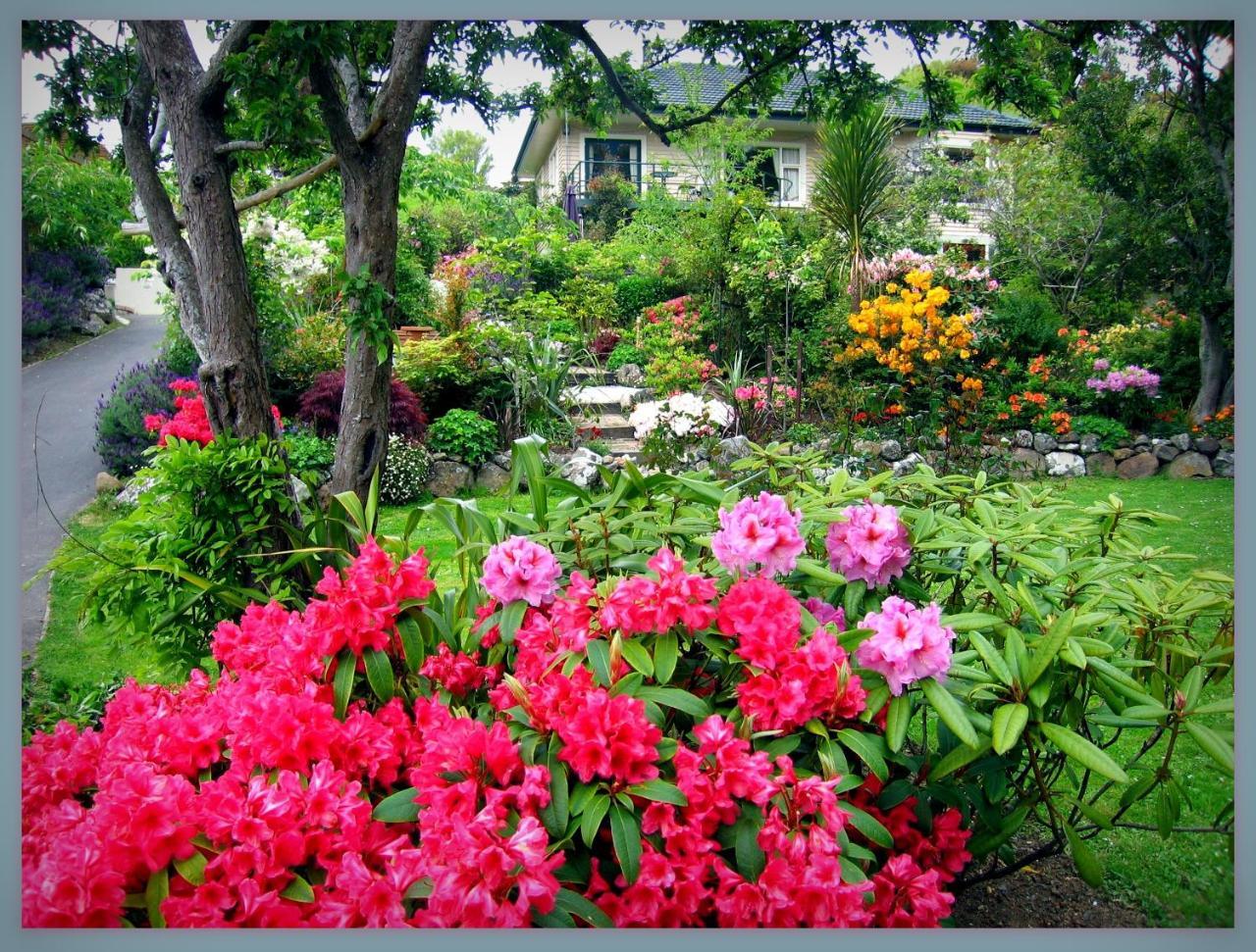 Mcauley Glen Boutique B&B Portobello Exteriör bild