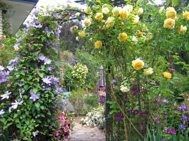 Mcauley Glen Boutique B&B Portobello Exteriör bild